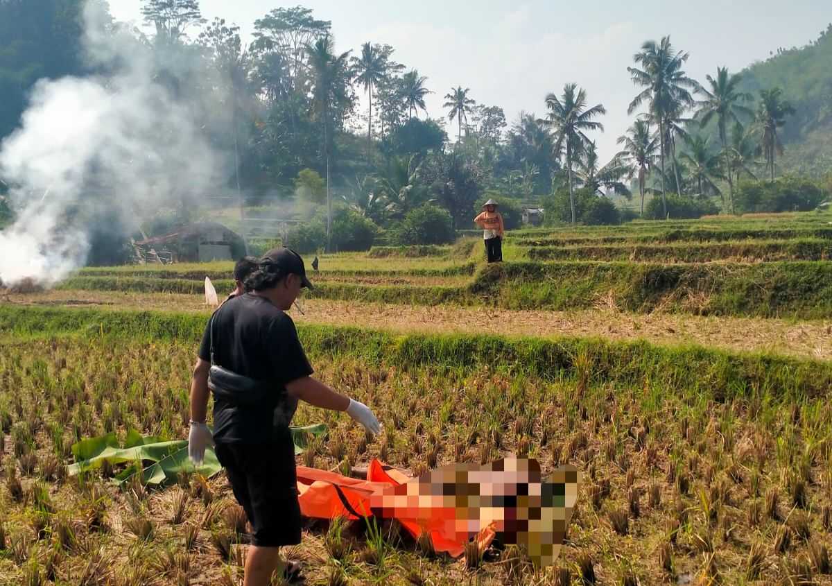 Warga Desa Sukajaya Temukan Mayat Pria Tanpa Identitas di Area Persawahan Malangbong Garut
